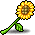 Sunflower Stalk