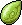 Green Primrose Seed