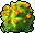 Orange Anthurium
