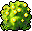 Yellow Anthurium