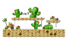 Cactus Desert 1
